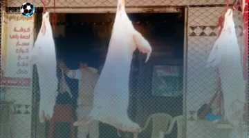 أسعار اللحوم في كفر الشيخ الجمعة 31 أكتوبر 2025 تتغير اليوم